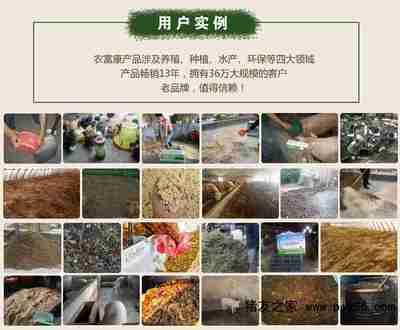 生物飼料研發(fā)助力豬腸炎拉稀的科學(xué)預(yù)防