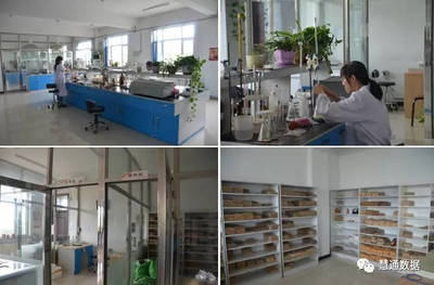 大地肽寶 生物發(fā)酵飼料研發(fā)的創(chuàng)新突破與應(yīng)用前景