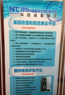 北京科為博生物集團助力中國畜牧生物科技大會，引領生物飼料研發(fā)新篇章