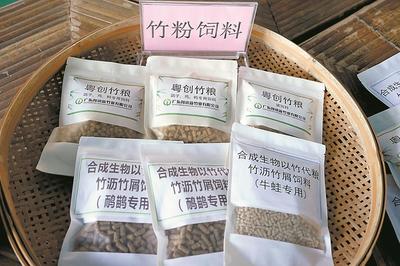 清遠英德西牛鎮(zhèn) 打造“以竹代塑”“以竹代糧”綠色產業(yè)，推動生物飼料研發(fā)