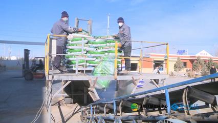 張掖市人民政府推動生物飼料研發(fā)，助力農(nóng)業(yè)綠色發(fā)展