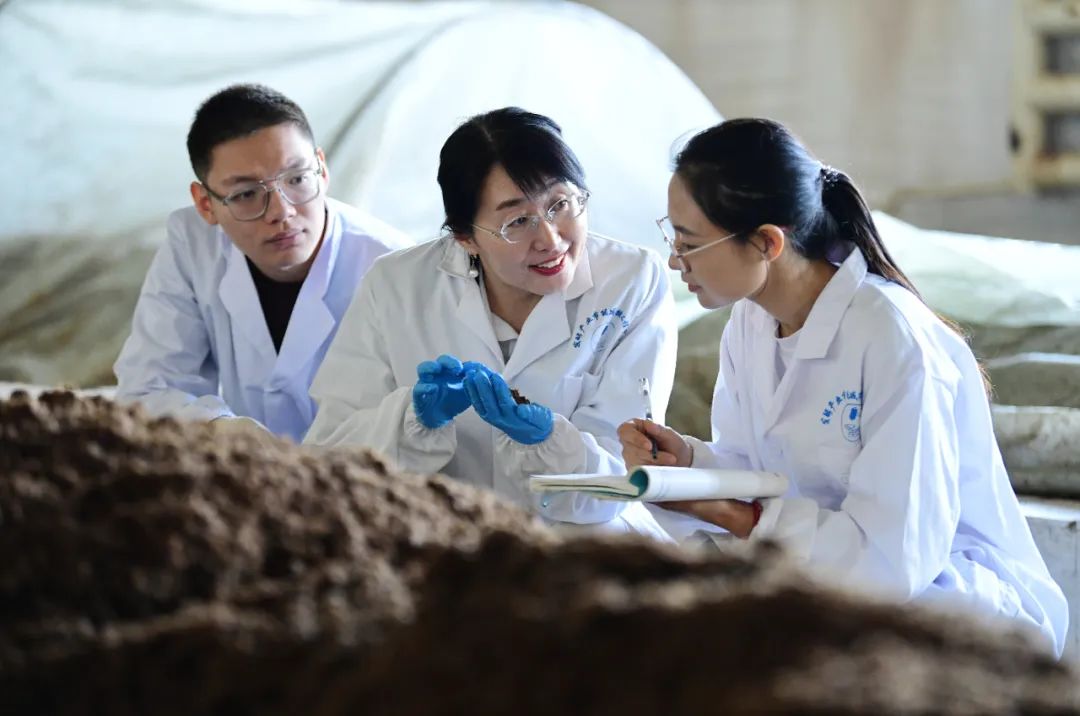 科研誠信典范 生物飼料研發(fā)領(lǐng)域的堅守與探索