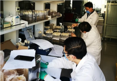 圖說2020 那些感動中輕的難忘瞬間——生物飼料研發(fā)篇