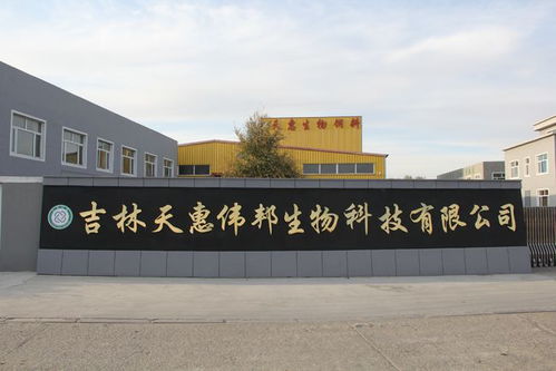 天惠生物發(fā)酵飼料 以創(chuàng)新研發(fā)助力生態(tài)健康養(yǎng)殖新篇章